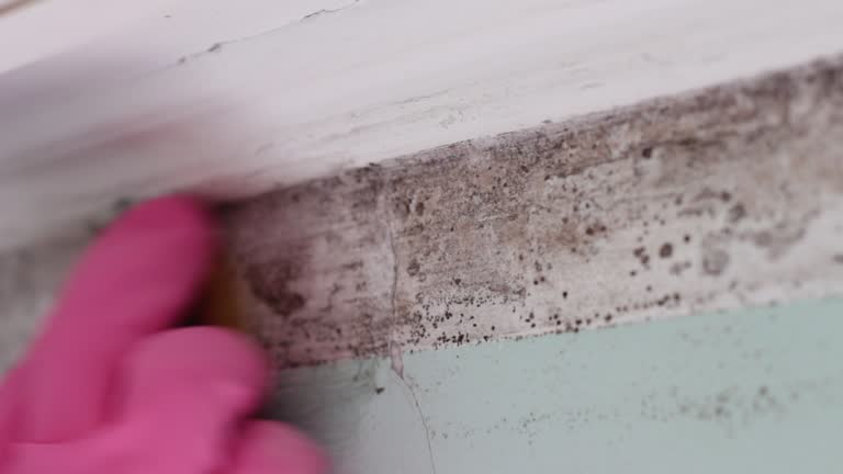 Best Air Quality Testing for Mold Spores  in Hiram, OH